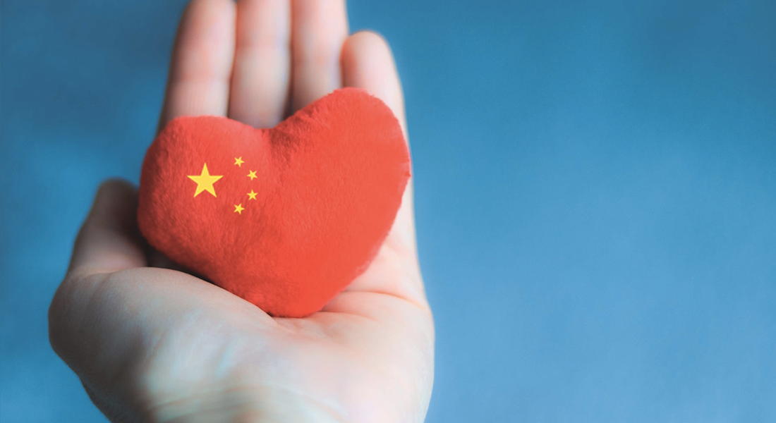 Rappresentazione visiva dell'articolo: Dalla Cina: forza Italia, siamo con voi!